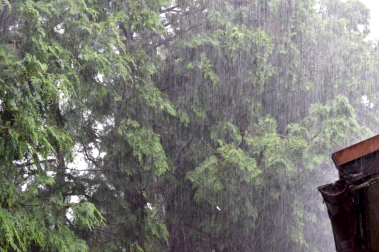 2020-Nov-30 Level 3 うわー。ひどい雨だね。