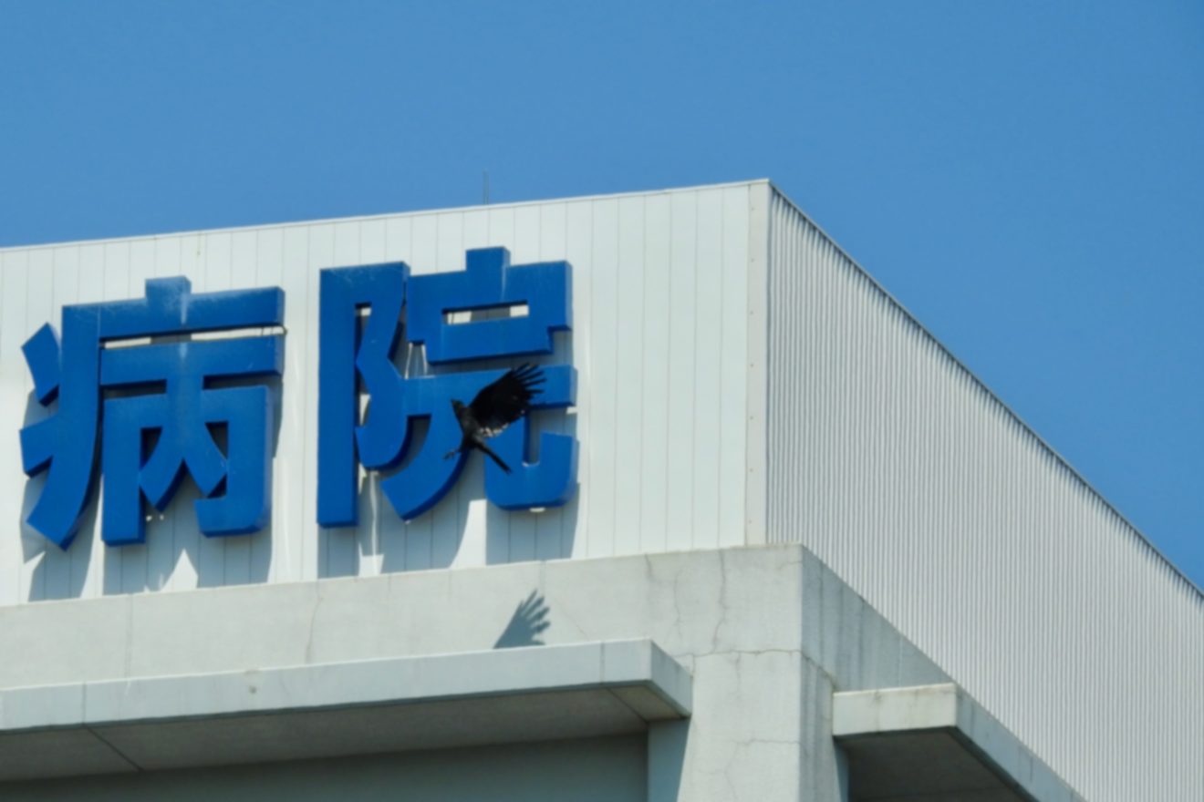 2022-Jul-25 Level 4 今日は疲れたね。
