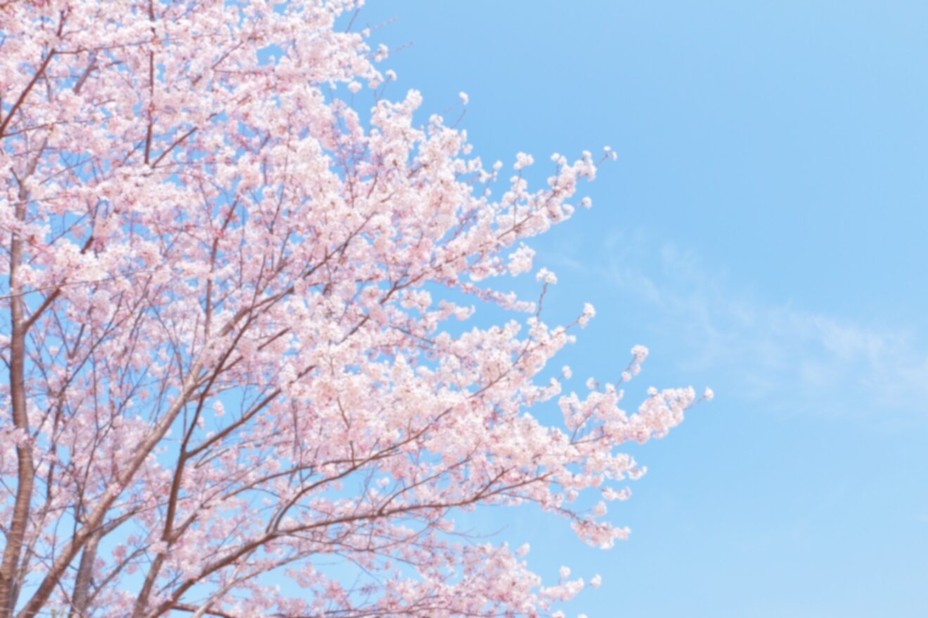 2023-Apr-24 Level 4 お花見行かない？