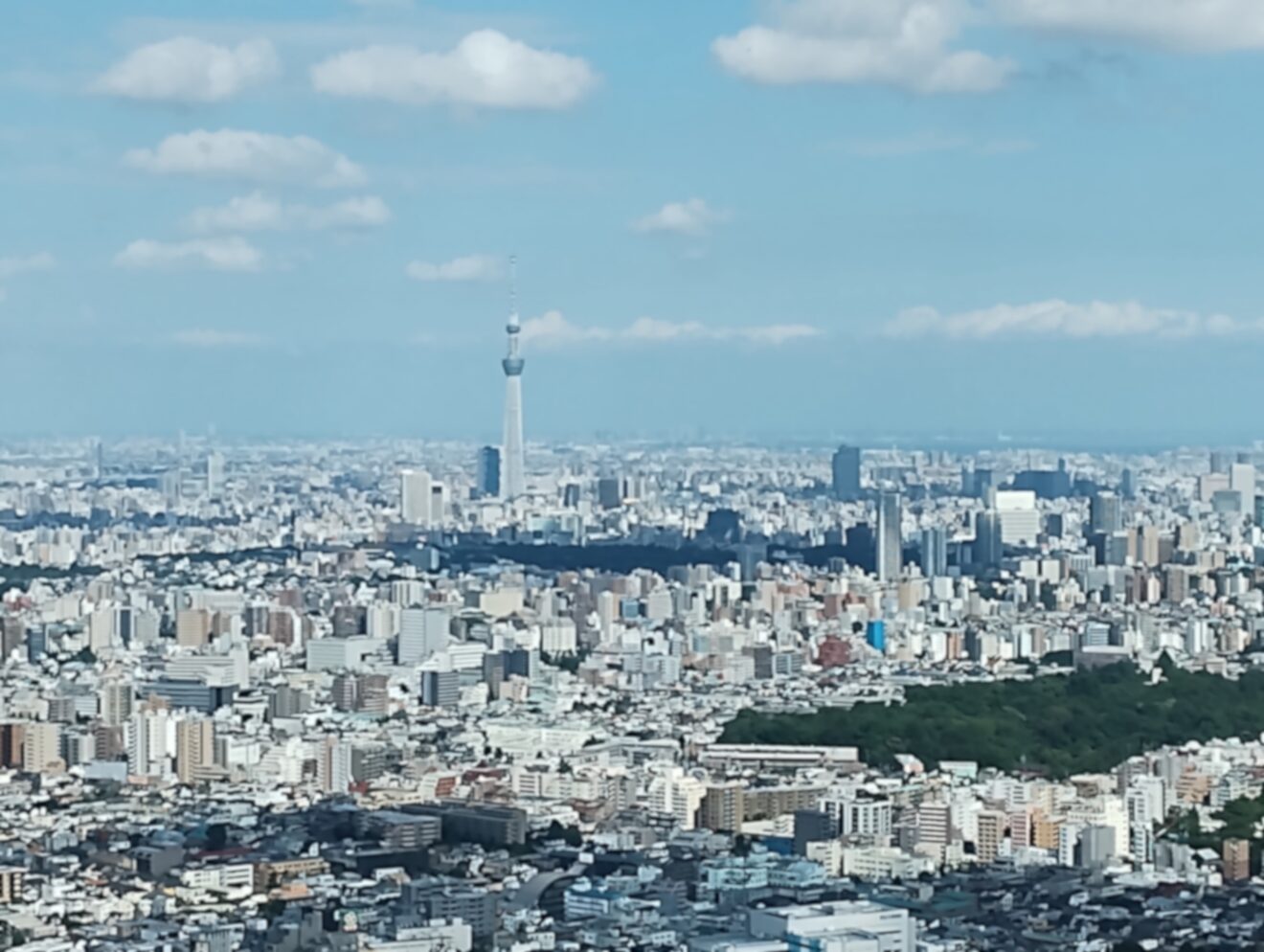 2023-Sep-11 Level 1 いつから住んでるの？