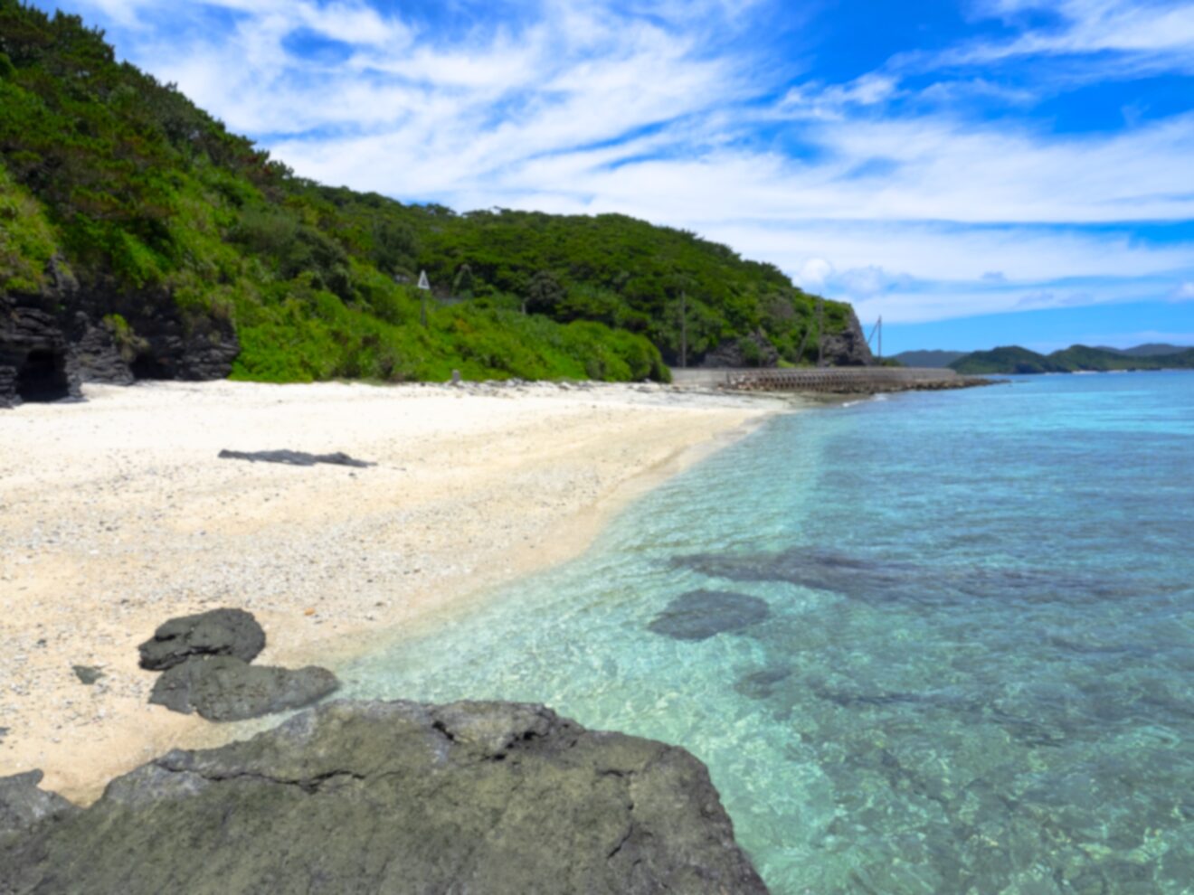 2023-Nov-20 Level 3 一緒に旅行しませんか？