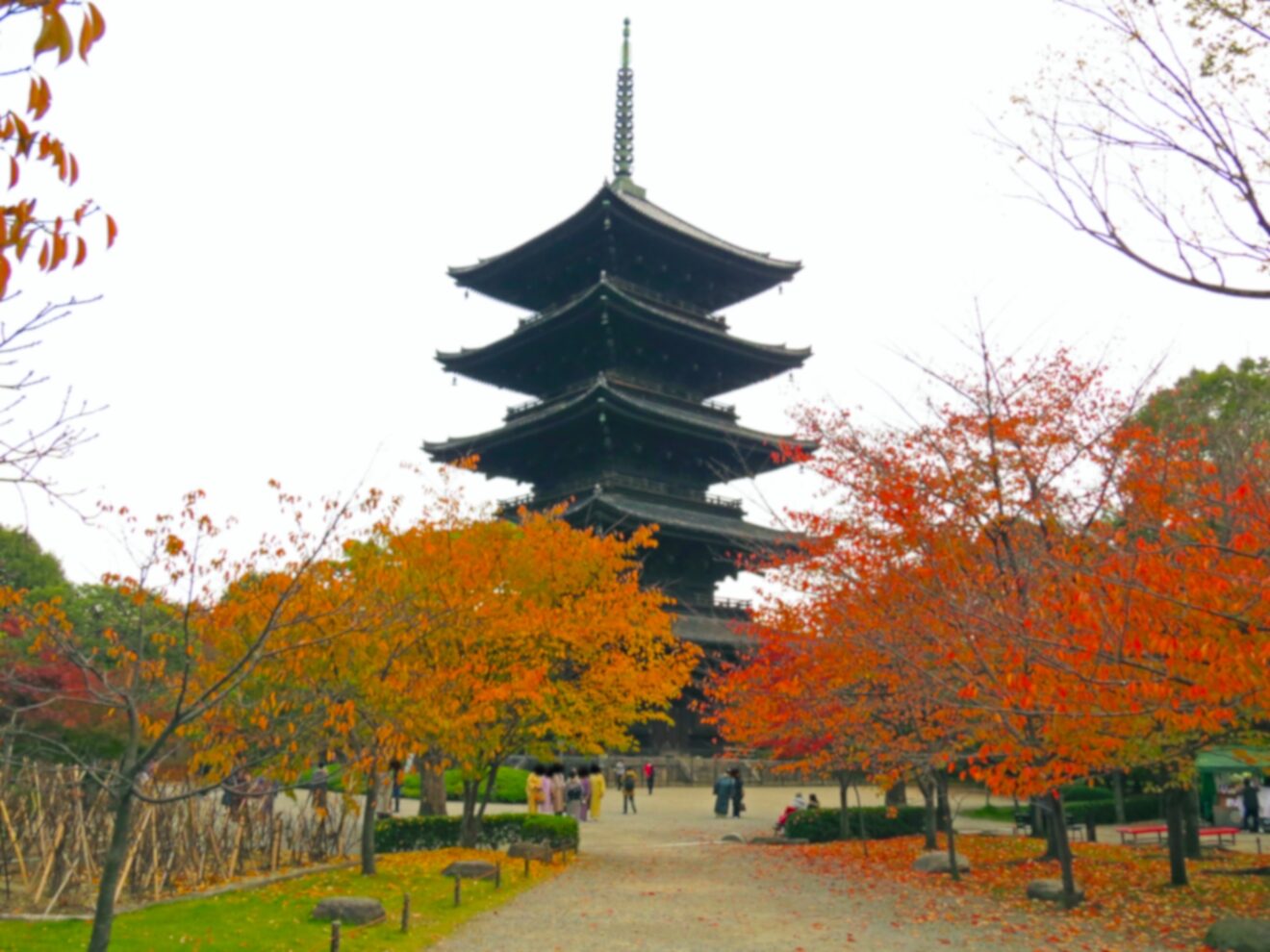 2023-Dec-25 Level 4 夏休み、なんかした？