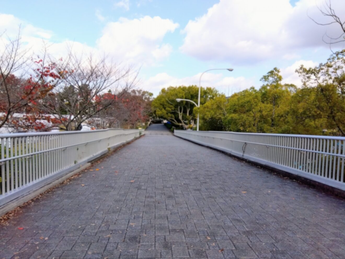 2024-Feb-12 Level 4 図書館ってどこでしたっけ？