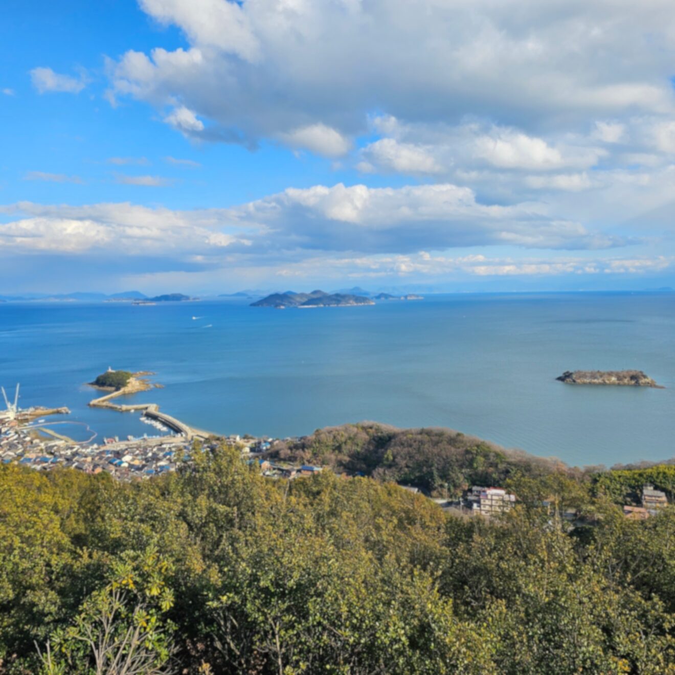 2024-Apr-8 Level 4 青くて綺麗だね