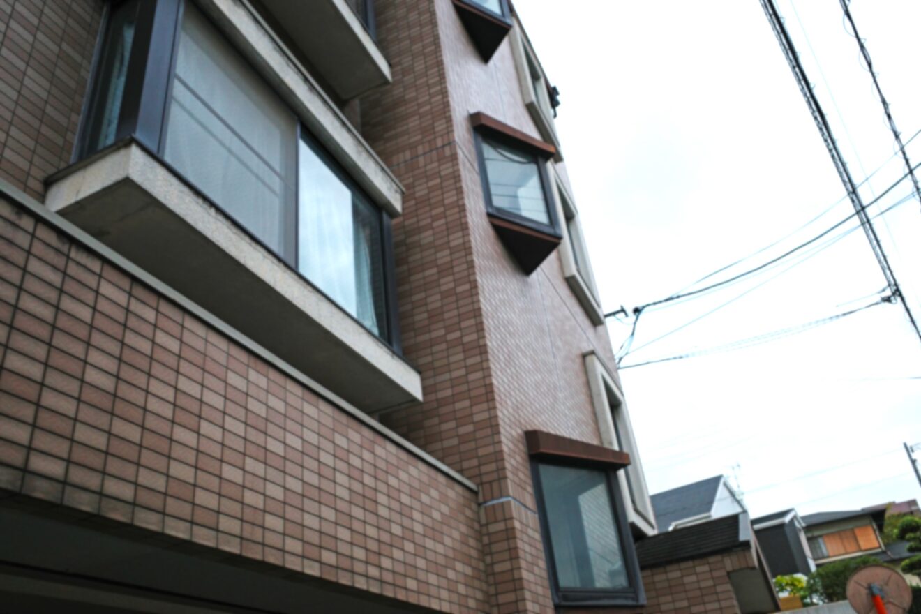 2024-Nov-25 Level 2 今日どっか行かない？