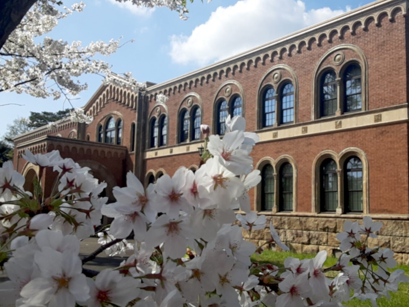 2024-Dec-23 Level 1 行きたい大学、ある？