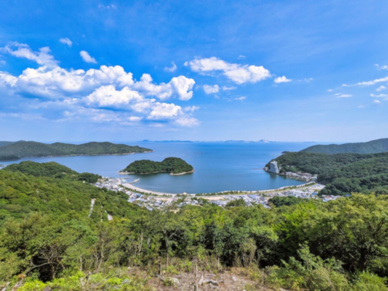 2025-Jan-6 Level 3 旅行行きたいな。