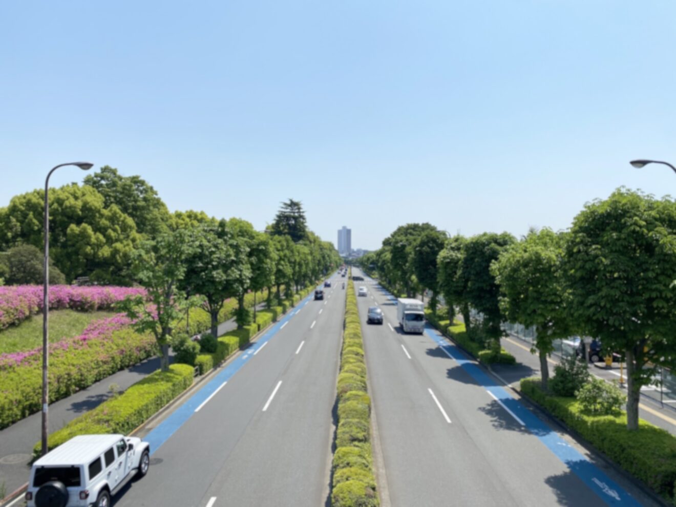 2025-Mar-10 Level 3 大人になったら、何したい？