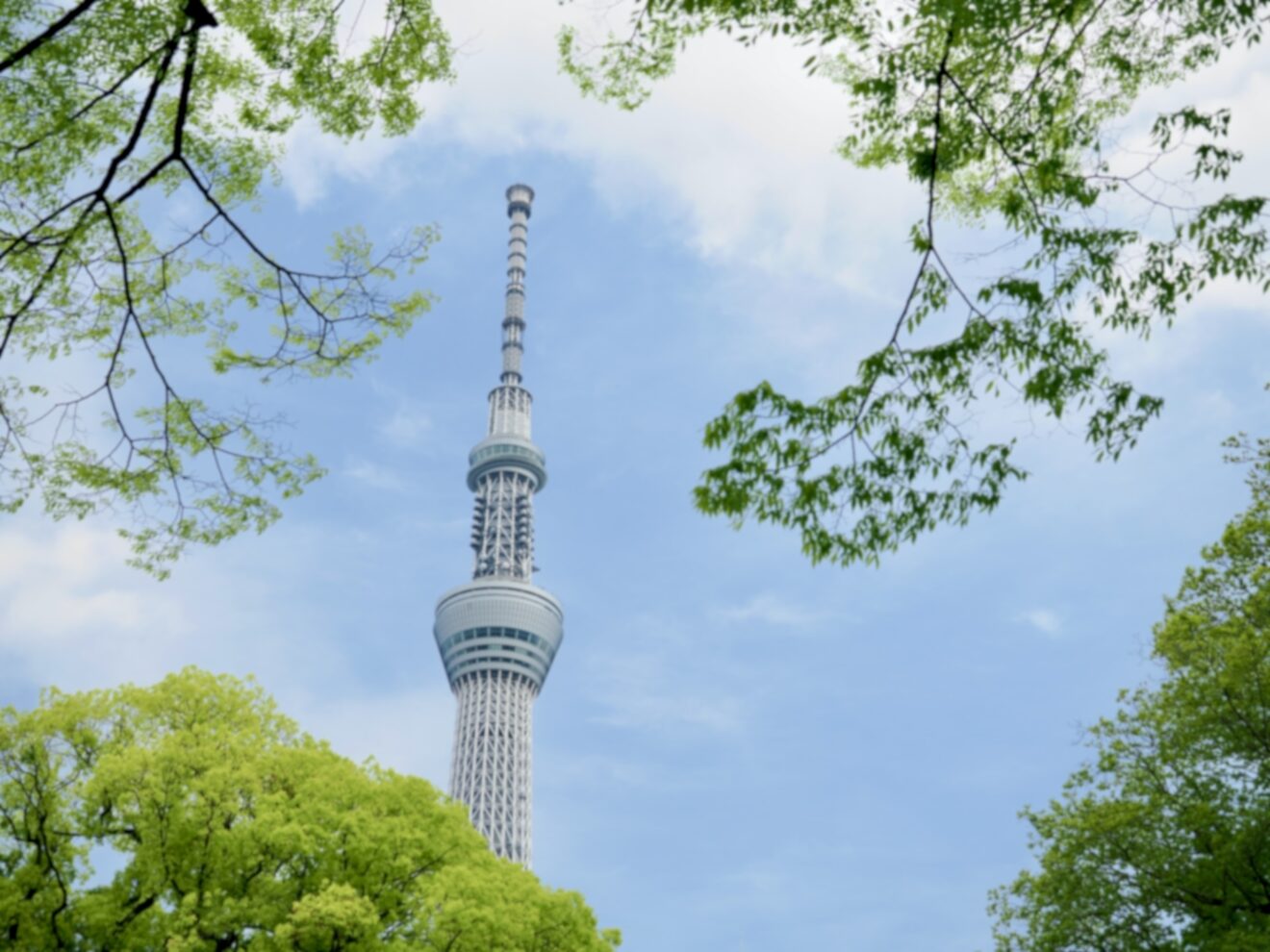2025-May-26 Level 1 今度、スカイツリー行くんです！