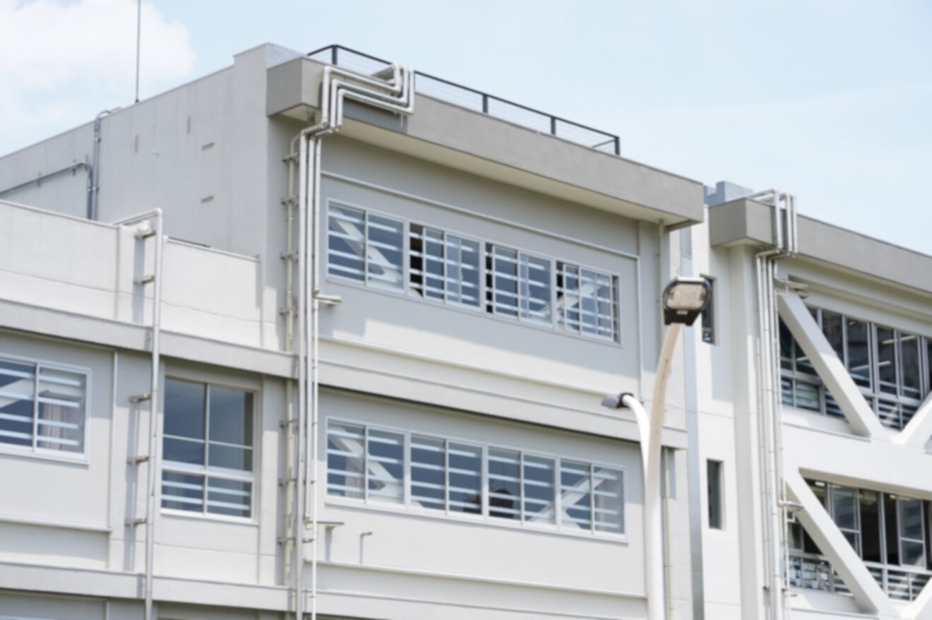 2025-Jun-2 Level 1 頭になんか付いてる。