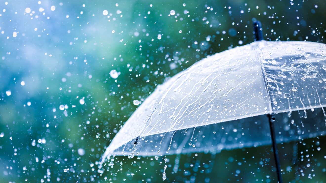 2026-Jan-5 Level 3 雨ひどかったですね。